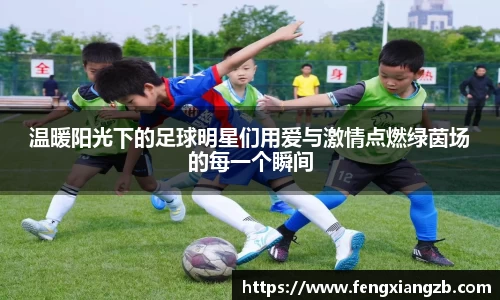 温暖阳光下的足球明星们用爱与激情点燃绿茵场的每一个瞬间
